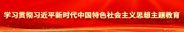 后入日本女人学习贯彻习近平新时代中国特色社会主义思想主题教育